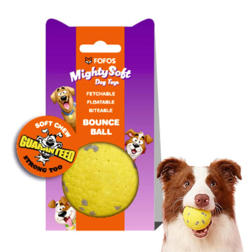 Fofos Super Bounce Ball-S For Dogs