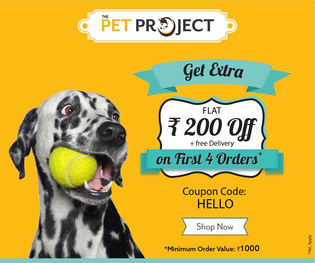 slider image slider_item_d4PDyq