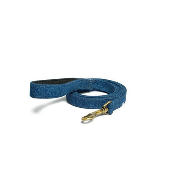PetWale Blue Denim Leash with Padded Handle (Small)