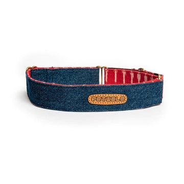 PetWale Blue Denim Martingale Collar (Medium)