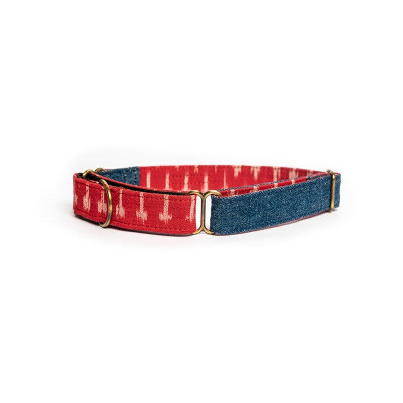 PetWale Blue Denim Martingale Collar (Small)