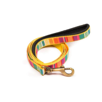 PetWale Colourful Stripes Leash with Padded Handle (Large)