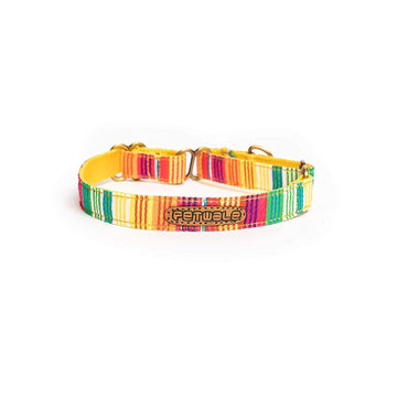 PetWale Colourful Stripes Martingale Collar (Small)