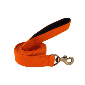 PetWale Orange Leash S