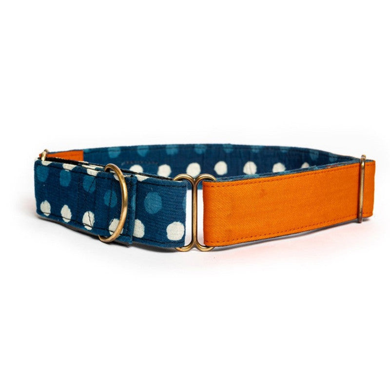 PetWale Orange Martingale Collar (Medium)