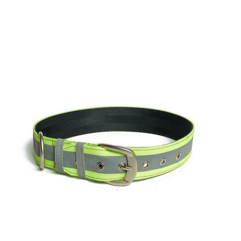 PetWale Reflective Green Belt Collar (Large)
