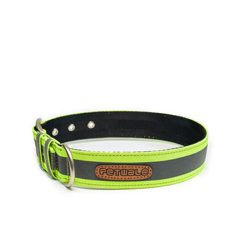 PetWale Reflective Green Belt Collar (Large)