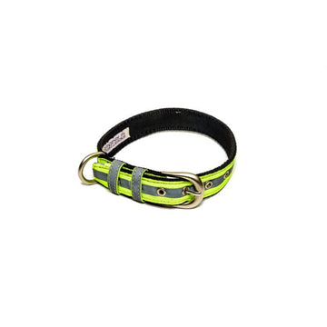 PetWale Reflective Green Belt Collar (Medium)