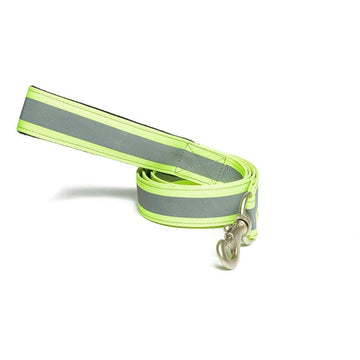 PetWale Reflective Green Leash with Padded Handle (Large)