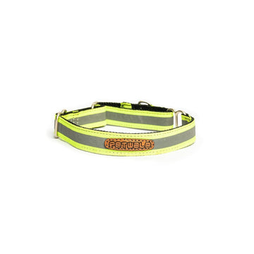 PetWale Reflective Green Martingale Collar (Large)