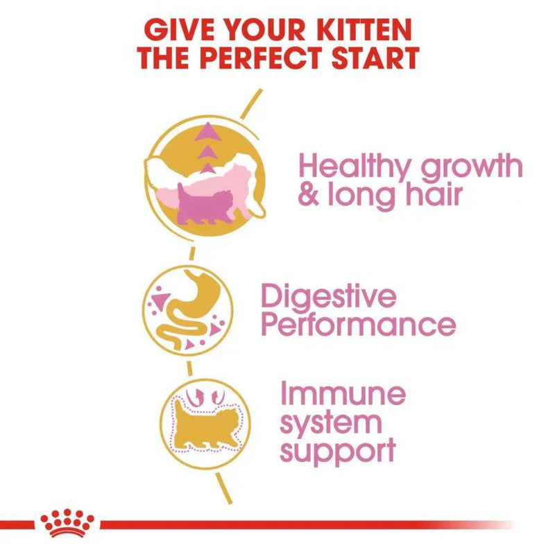 Royal Canin Persian Kitten 4kg