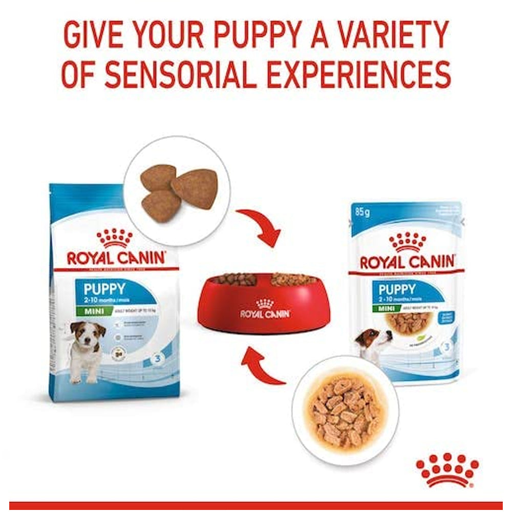 Royal Canin Mini Puppy Gravy 85g