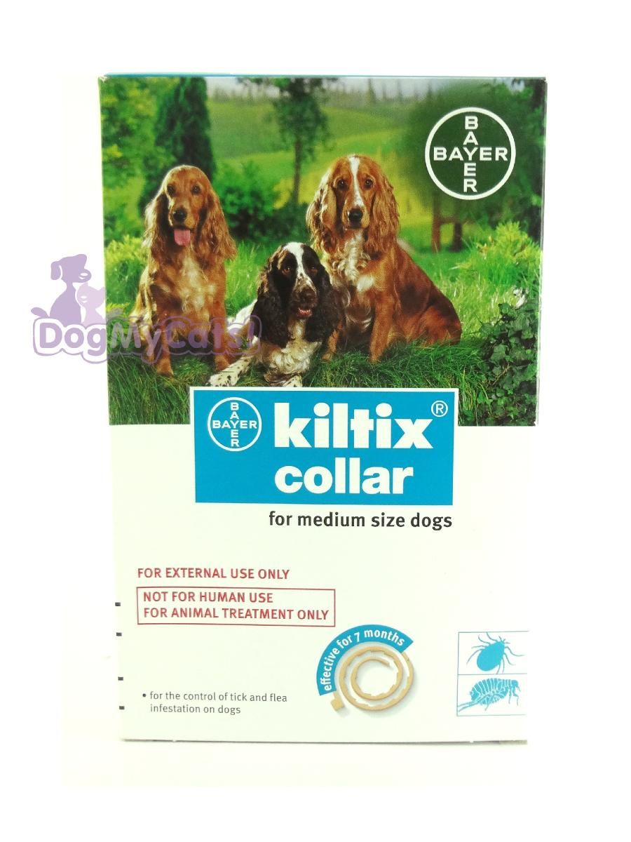 Kiltix Collar Medium Sized