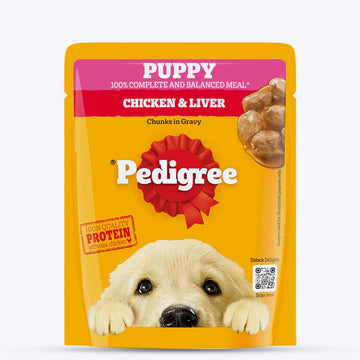 Pedigree Puppy with Chicken Chunks In Gravy 70g