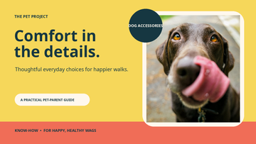 Real dog portrait with The Pet Project dog accessories comfort editorial design