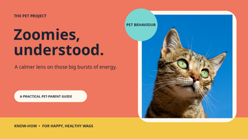 Real pet portrait with The Pet Project pet zoomies behaviour editorial design