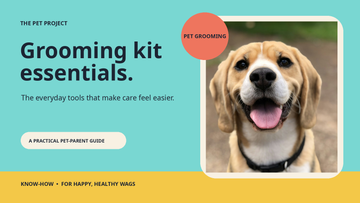 Real dog portrait with The Pet Project grooming kit essentials editorial design