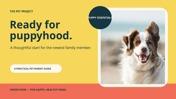 Real puppy portrait with The Pet Project puppy parenthood essentials editorial design