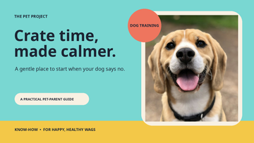 Real dog portrait with The Pet Project gentle crate training editorial design