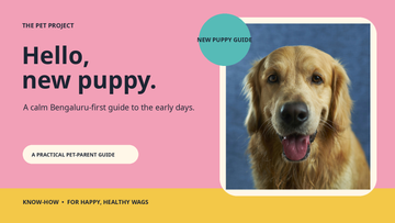 Real puppy portrait with The Pet Project new puppy starter guide editorial design