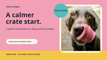 Real dog portrait with The Pet Project crate training introduction editorial design