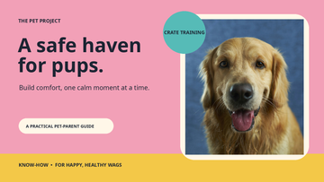 Real puppy portrait with The Pet Project crate training editorial design