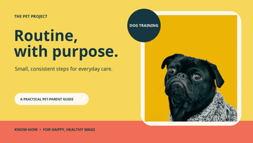 Real dog portrait with The Pet Project dog care training routine editorial design