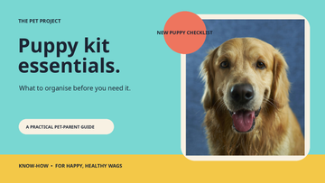 Real puppy portrait with The Pet Project puppy essentials checklist editorial design