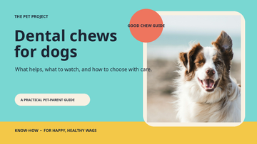 Real dog portrait with The Pet Project editorial guide to choosing dental chews for dogs
