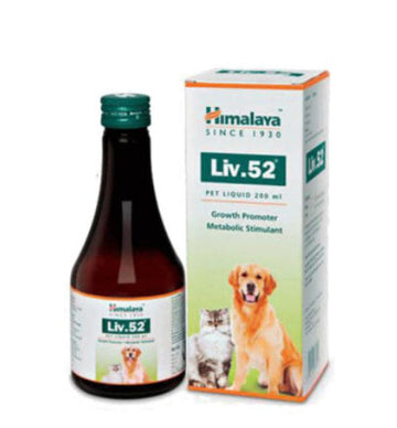 Himalaya Liv.52 Liver Support Supplement 200 ml