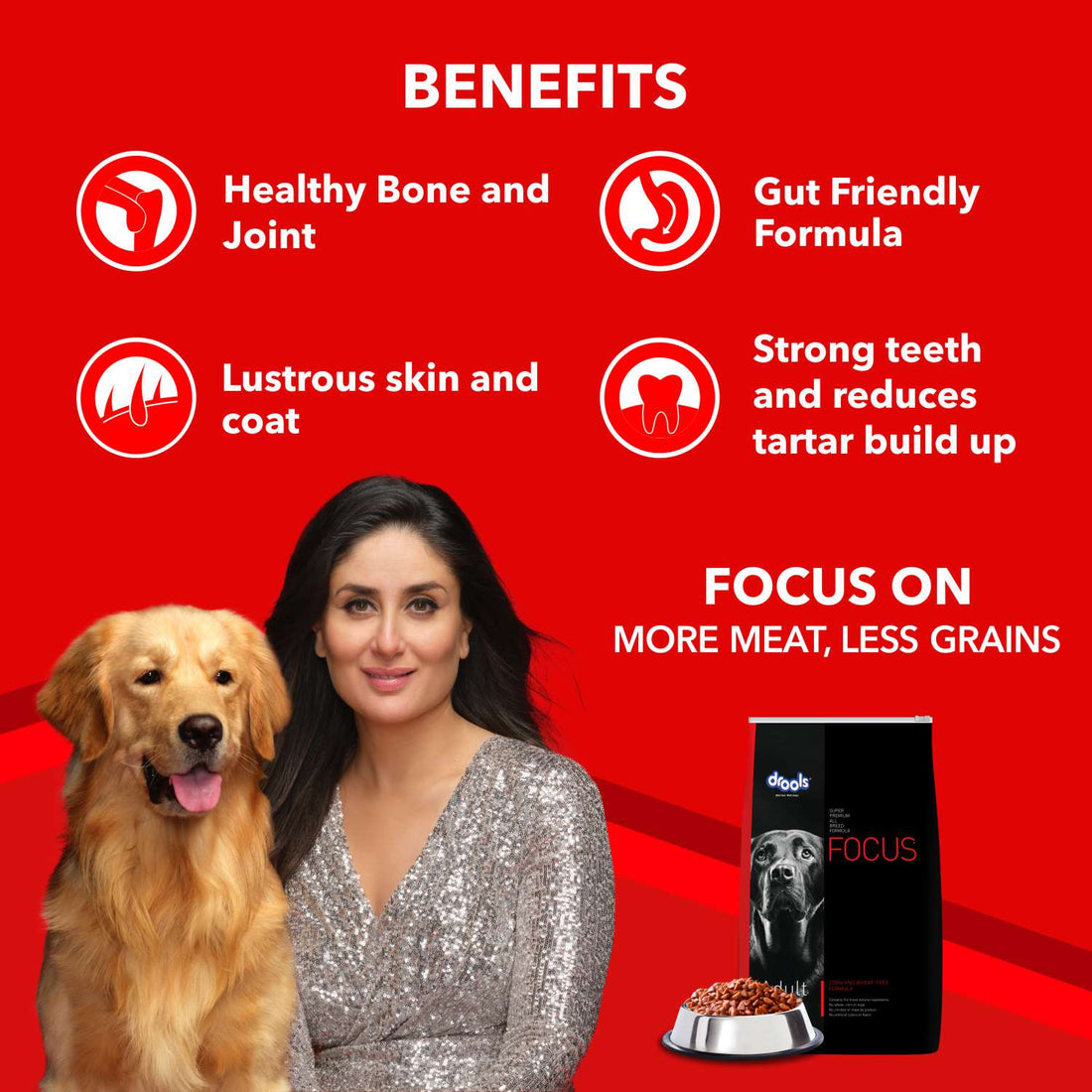 Drools Focus Adult Dog Dry Food