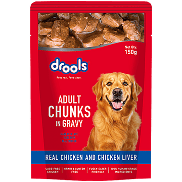 Drools Maxi Adult Real Chicken N Chicken Liver Chunks In Gravy 70gm