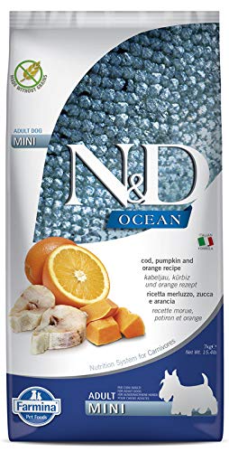 N&D Ocean (GF) Codfish Pumpkin & Orange Adult Mini 7kg