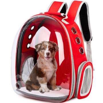 Fortune Cat Bag Transparent