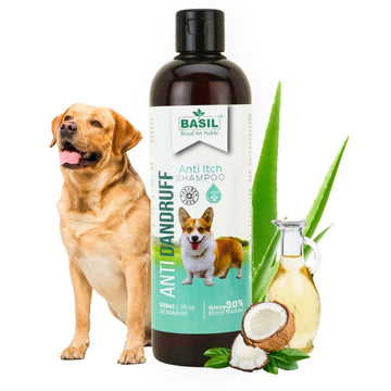 BASIL ANTIDANDRUFF SHAMPOO 500ML