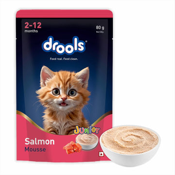 Drools Junior Salmon Mousse 80g