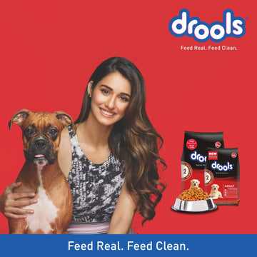 Drools Adult Meat N Rice 3kg