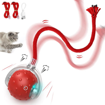 Cat Running Ball wString