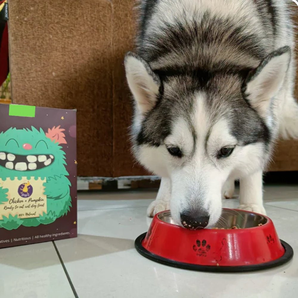 Doggos Big Monster 800g