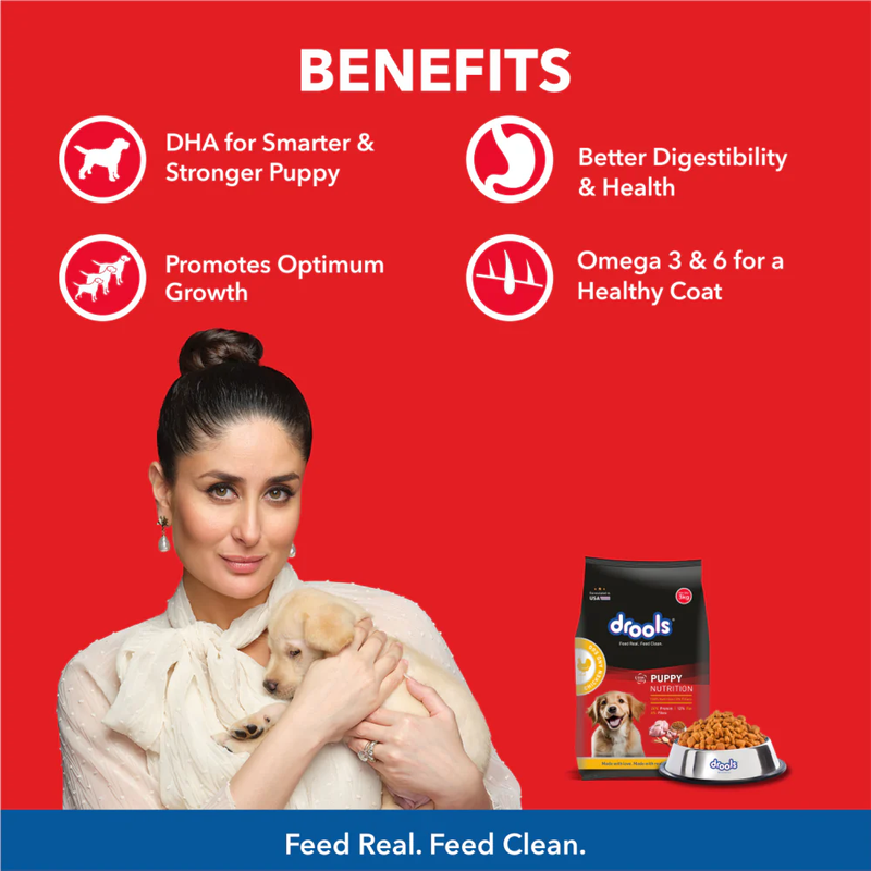 Drools Puppy Chicken and Egg 20kg