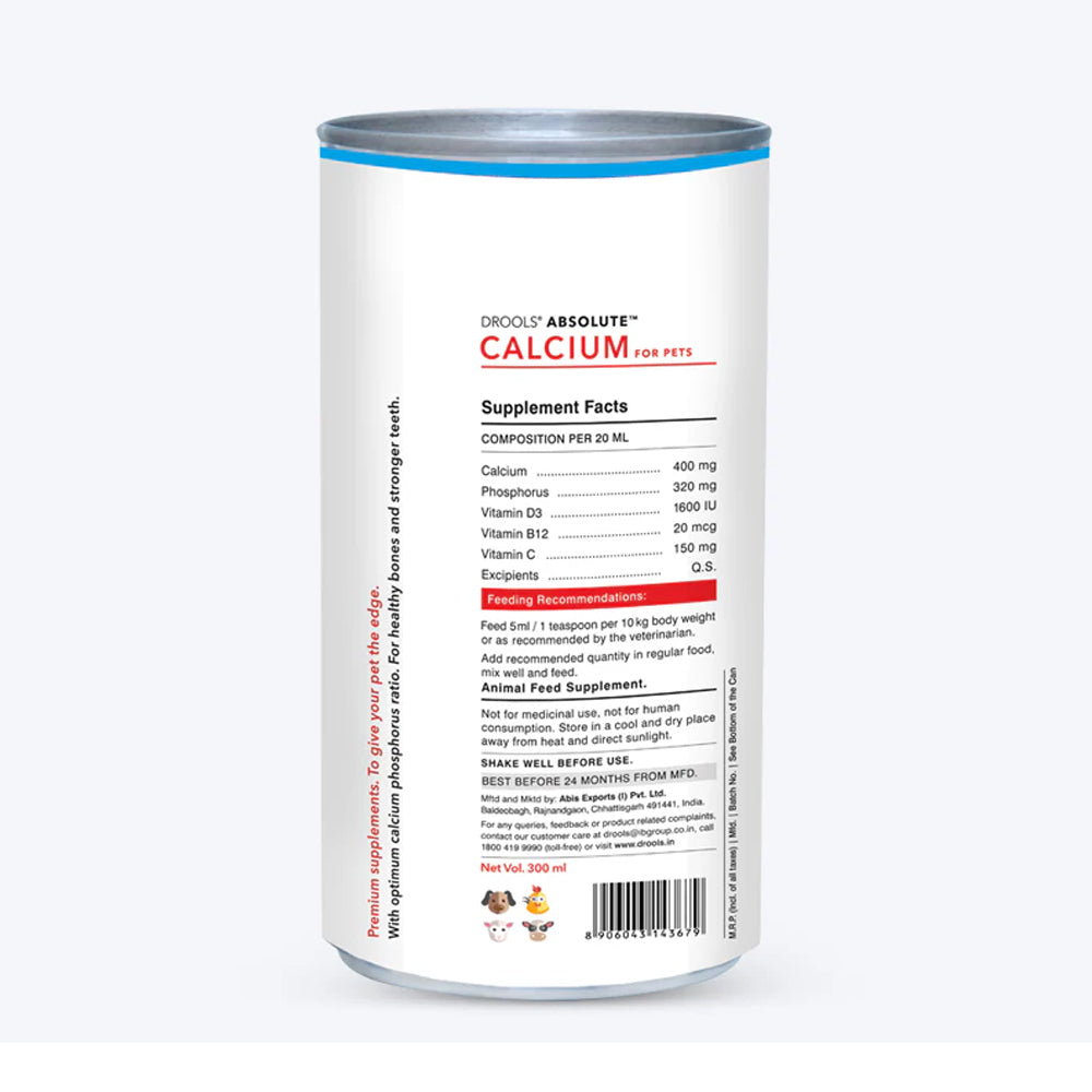Drools Absolute Calcium Syrup 300ml