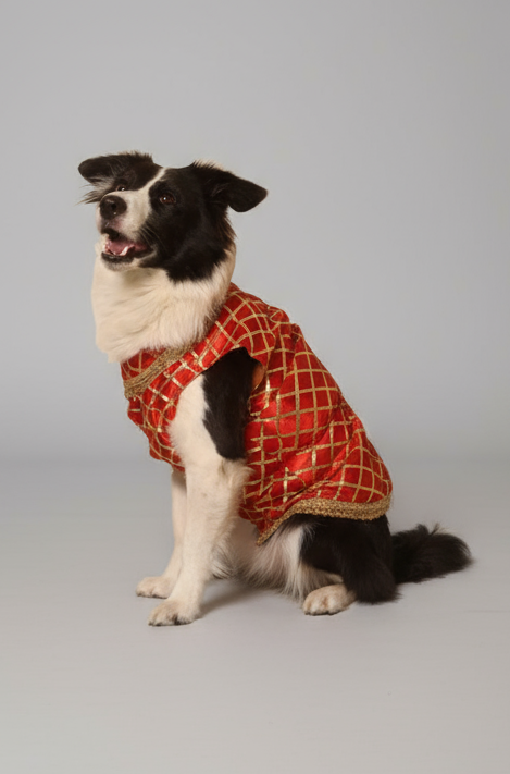 Festive Sherwani -Traditional Ethnic Outfit - Red