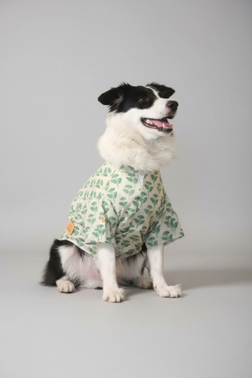 Festive Sherwani -Traditional Ethnic Outfit - Pastel Green
