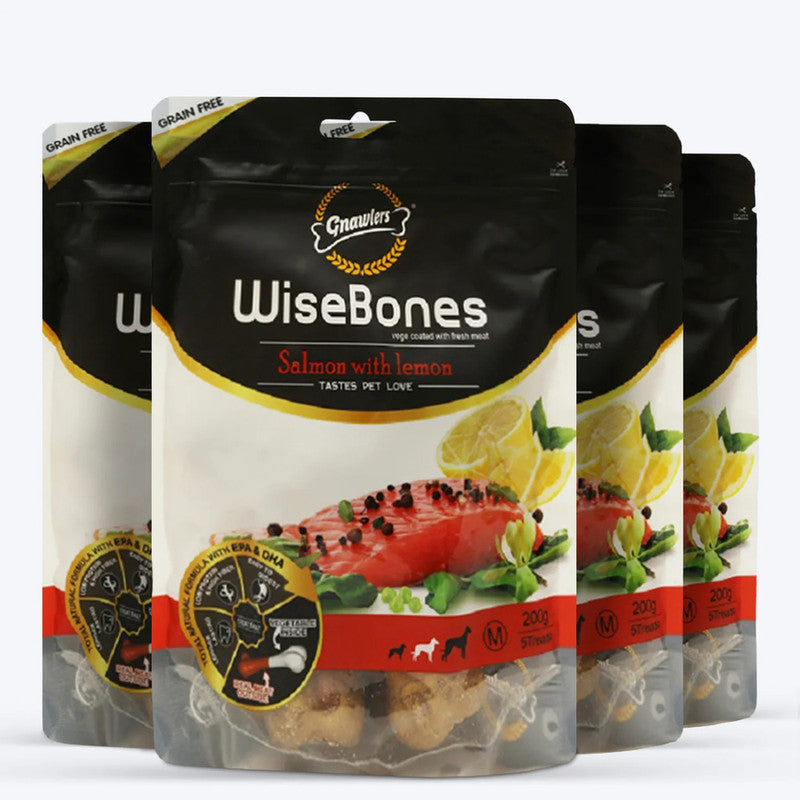 Gnawlers Salmon With Lemon Wise Bone 200g