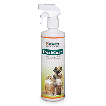 Himalaya Fresh Coat Dry Shampoo