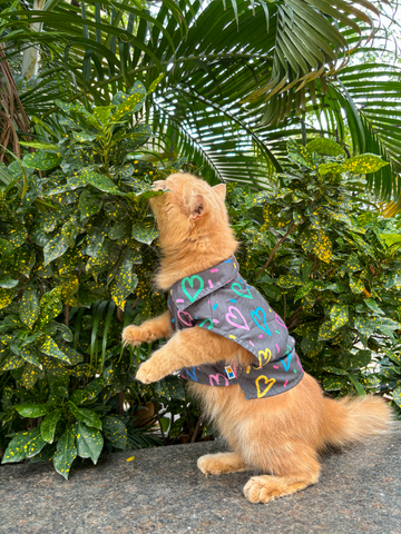 15 FURRIES Heart Buzz Cat Shirt