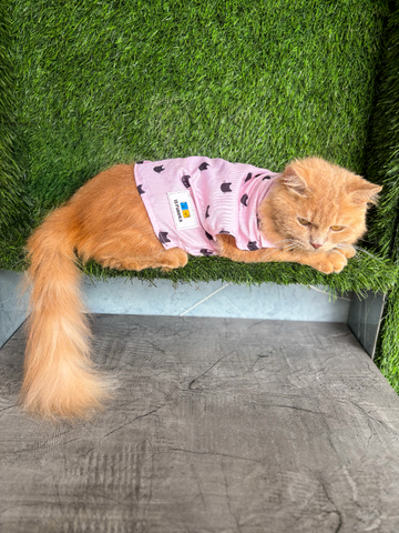 15 FURRIES Pink Cat Cat Shirt