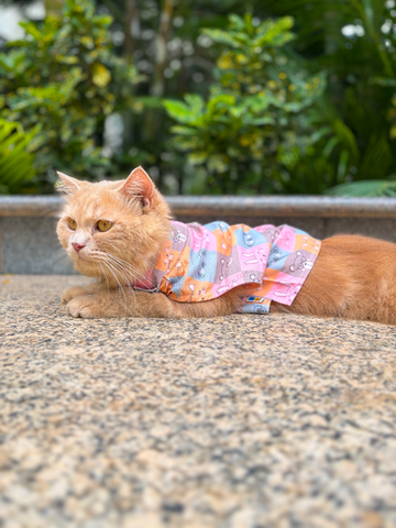 15 FURRIES Kitty Dreams Cat Shirt