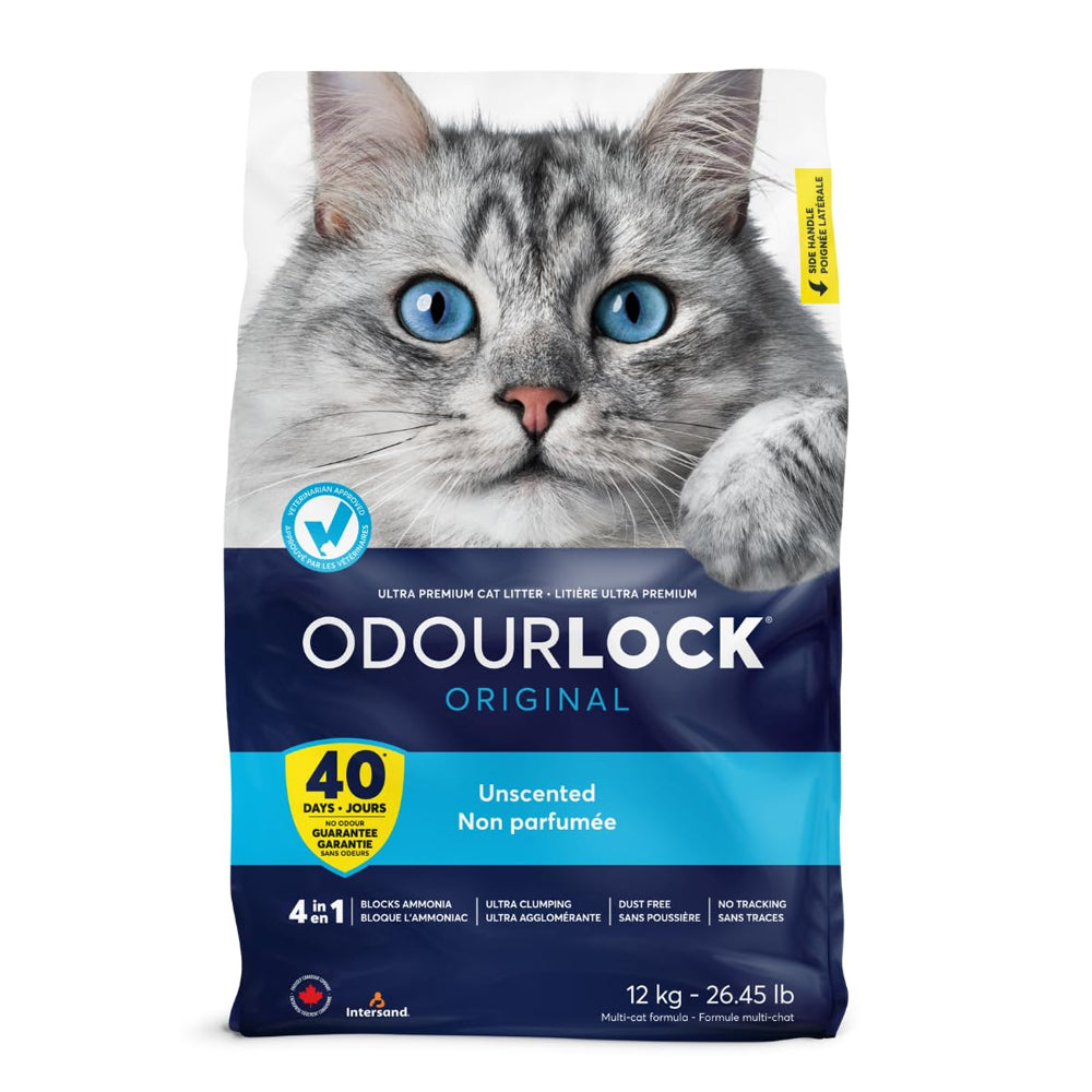Intersand Odour Lock