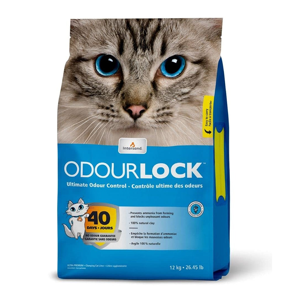 Intersand Odour Lock
